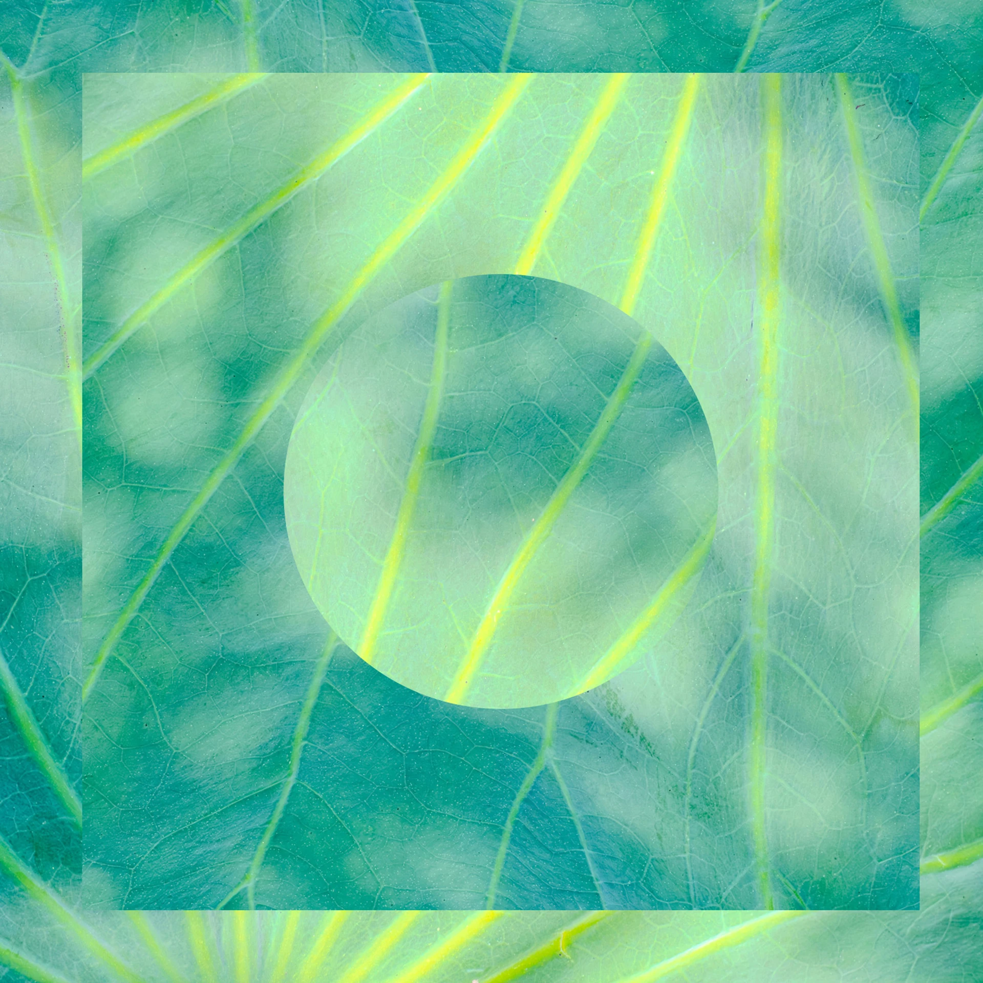 AI-Security Posture Management - AI Runtime Defense