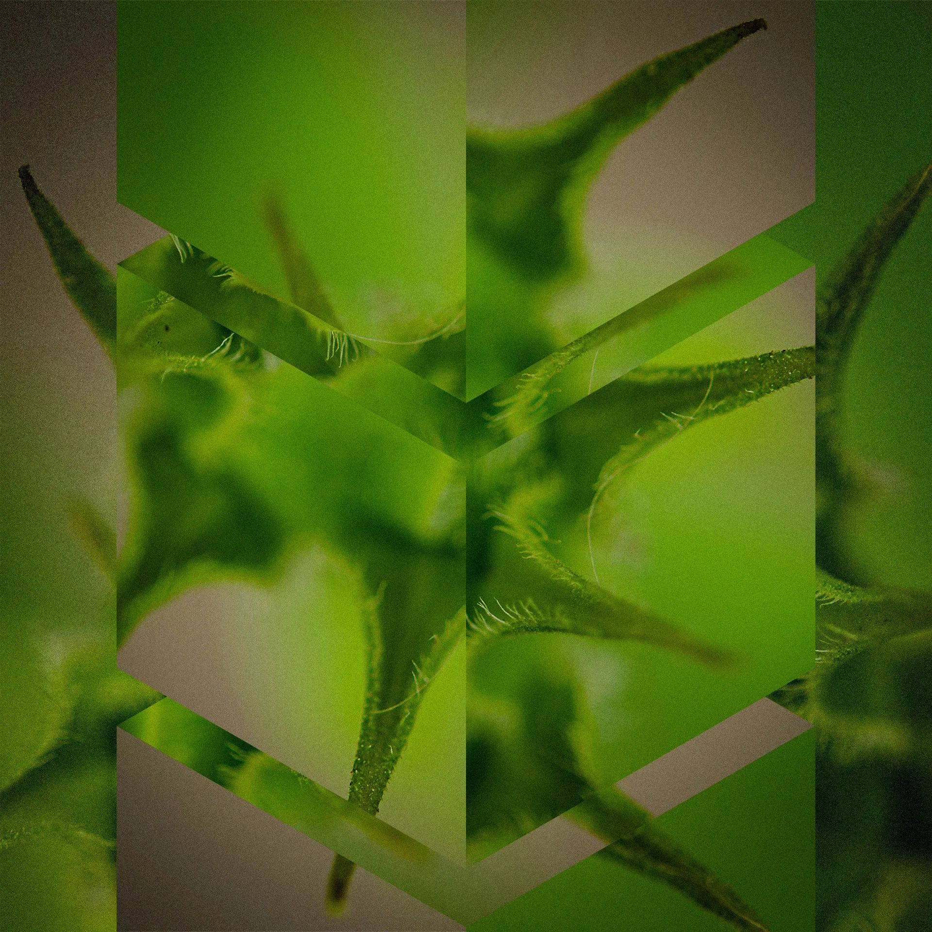 Get full visibility - What is runtime security