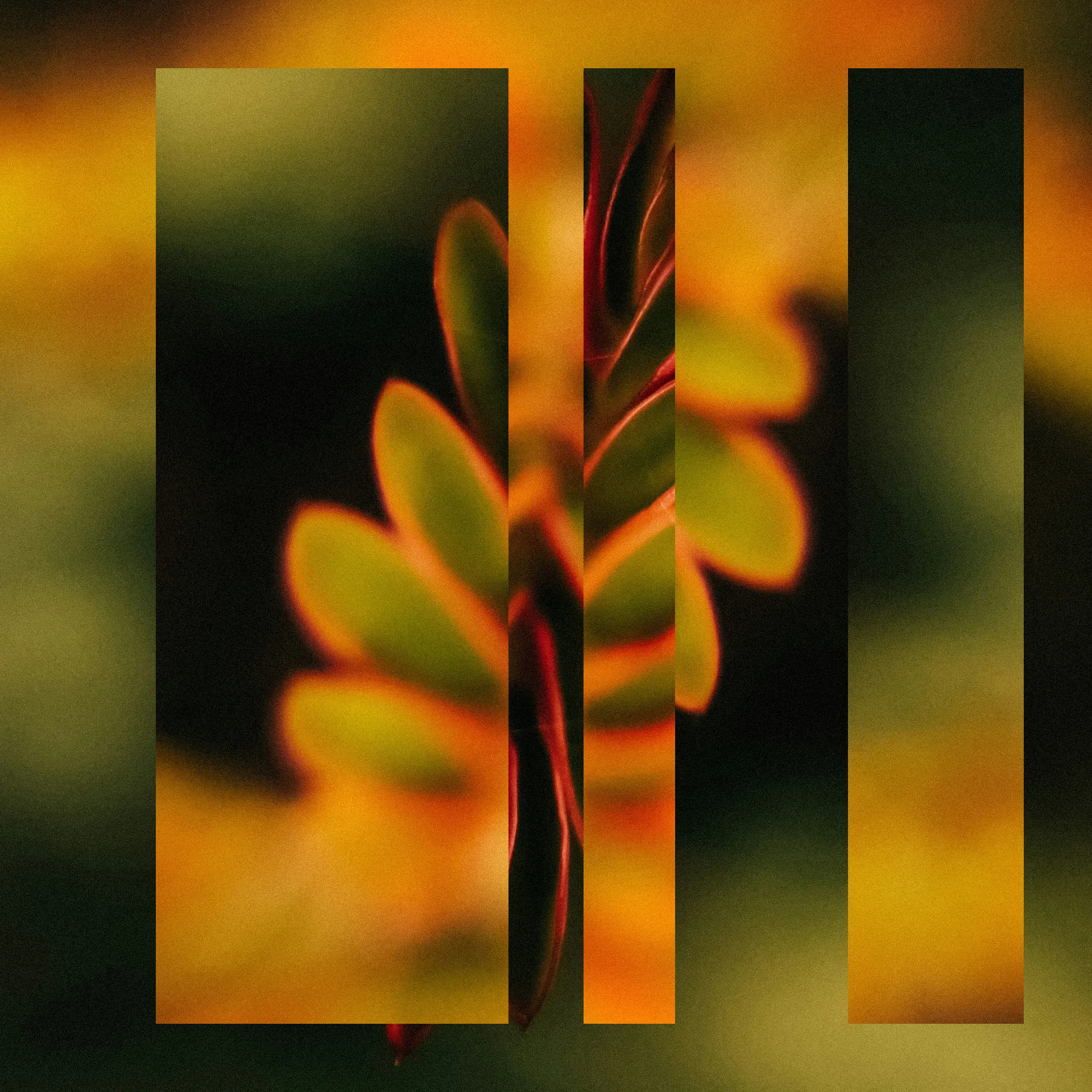 What is runtime security Orange leaf