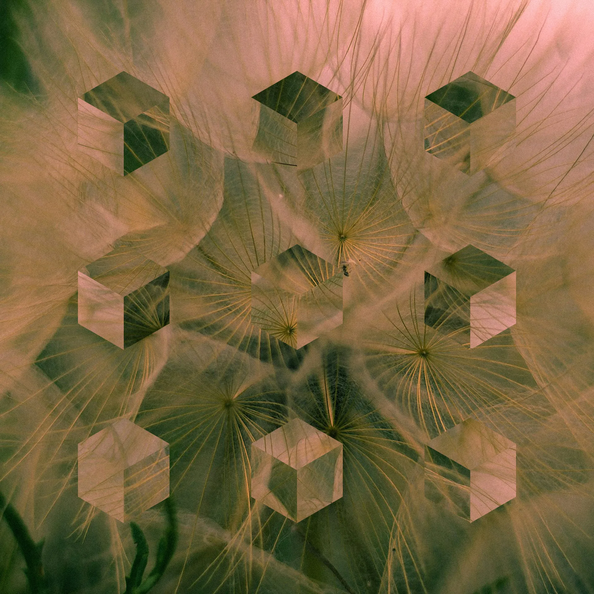 AI Runtime Security Pink flowerhead