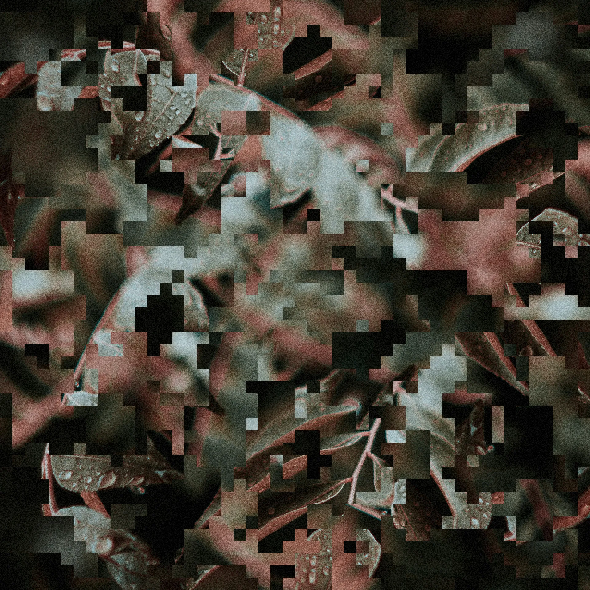 What is runtime security Rust leaf