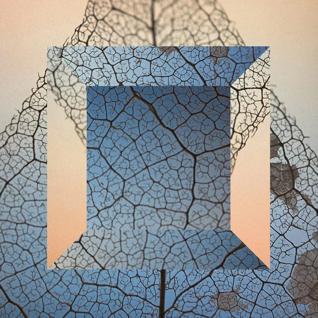 Partner - Deal Registration