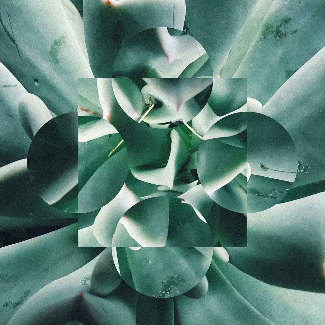 CADR - For Every Type of Application Exploit