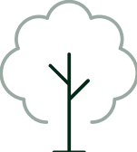 Stylized tree graphic.