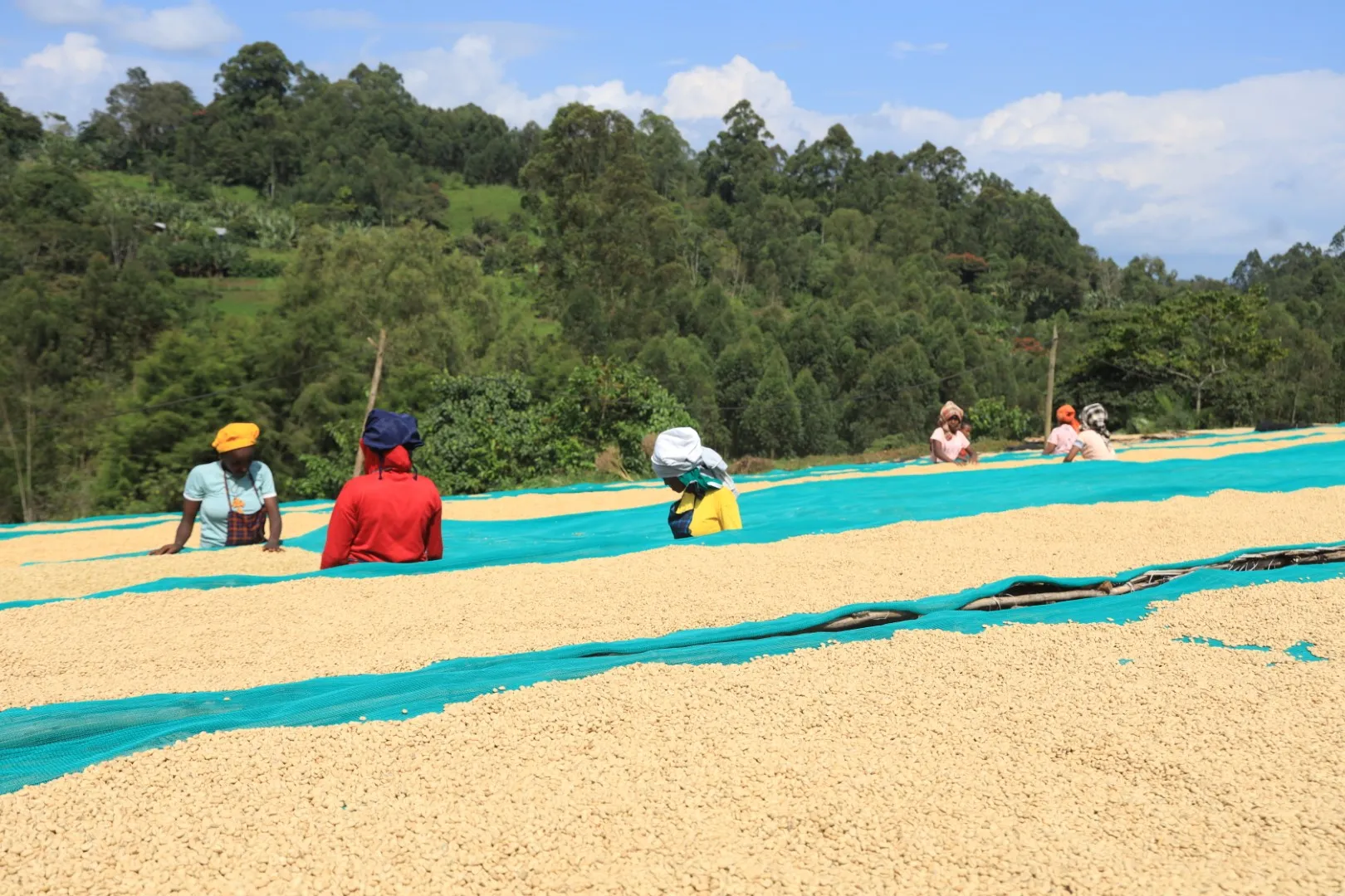 Wind turbine blades against a landscape.