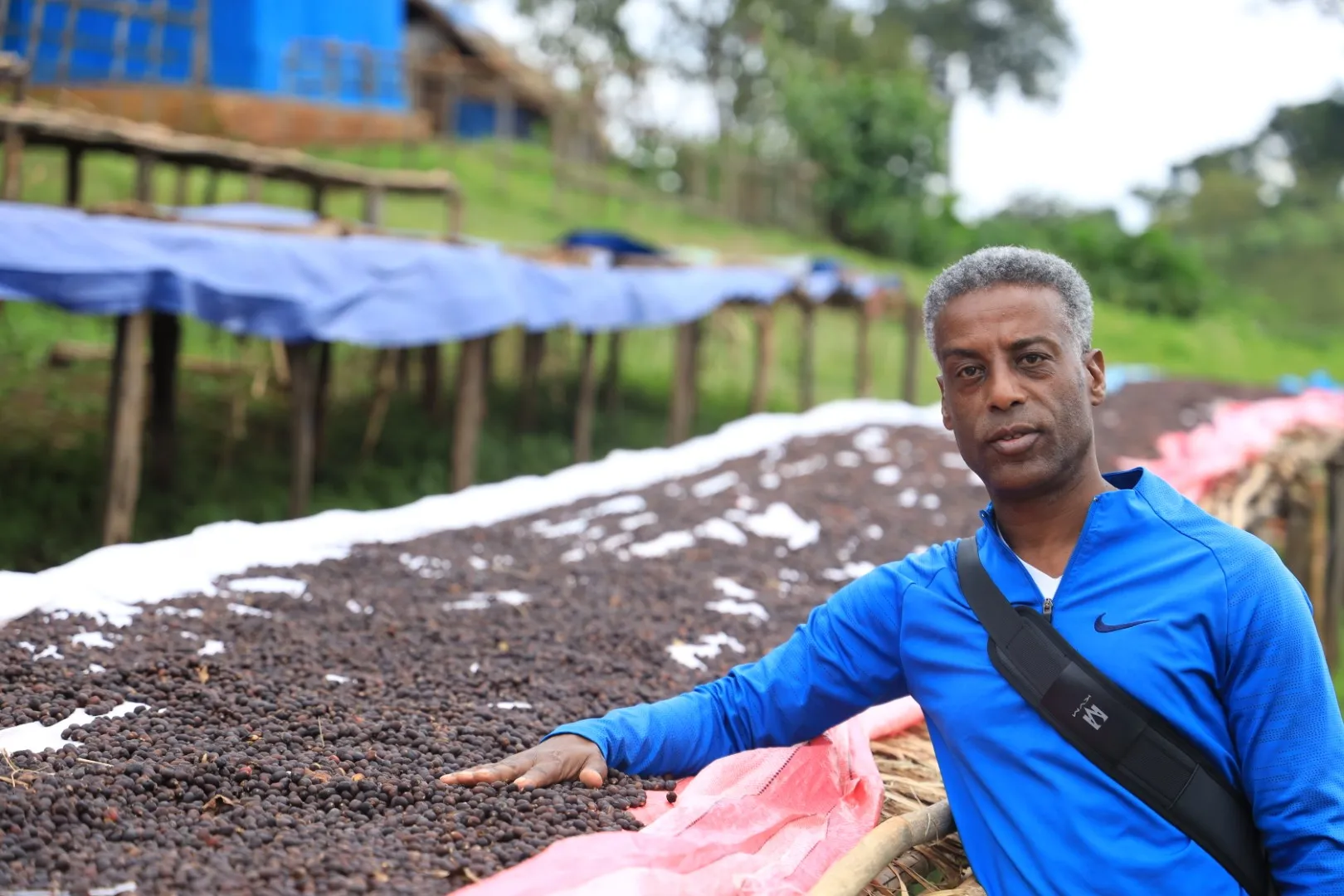 Wind turbine blades against a landscape.