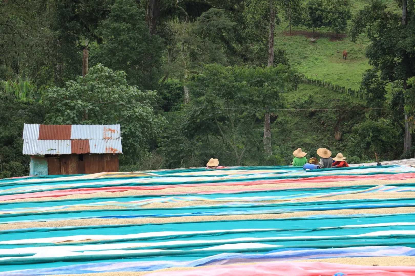 Satellite in orbit against sky.