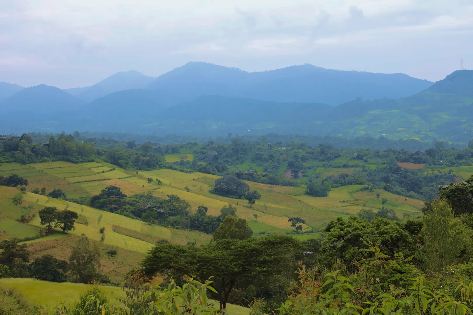 Wind turbine blades against a landscape.