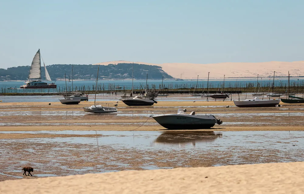 Hotel Villa Colette Plage à Marrée Basse