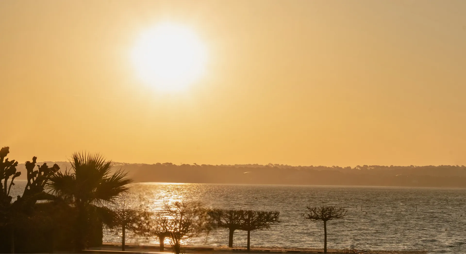 Golden sunset over a lake with tree figures in the foreground.