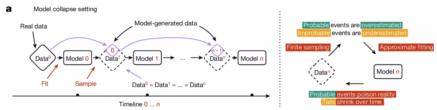 Diagram illustrating a model collapse setting over time, where successive models are trained on increasingly model-generated data rather than real data. The timeline shows how data distributions converge, leading to overestimation of probable events, underestimation of rare events, and gradual degradation of model accuracy due to finite sampling and approximate fitting.