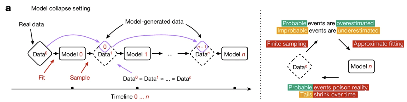 Diagram illustrating a model collapse setting over time, where successive models are trained on increasingly model-generated data rather than real data. The timeline shows how data distributions converge, leading to overestimation of probable events, underestimation of rare events, and gradual degradation of model accuracy due to finite sampling and approximate fitting.