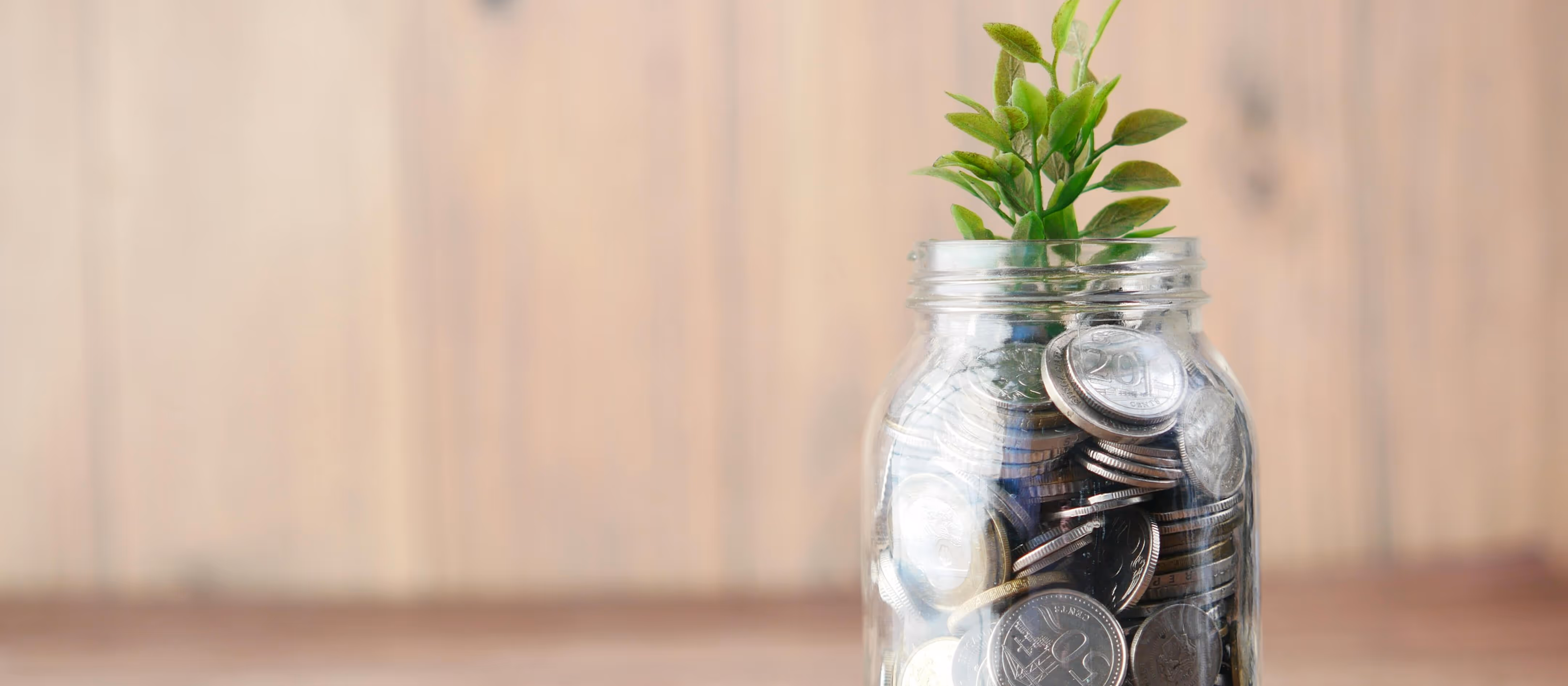 Glass jar filled with coins and a small green plant growing from the top.