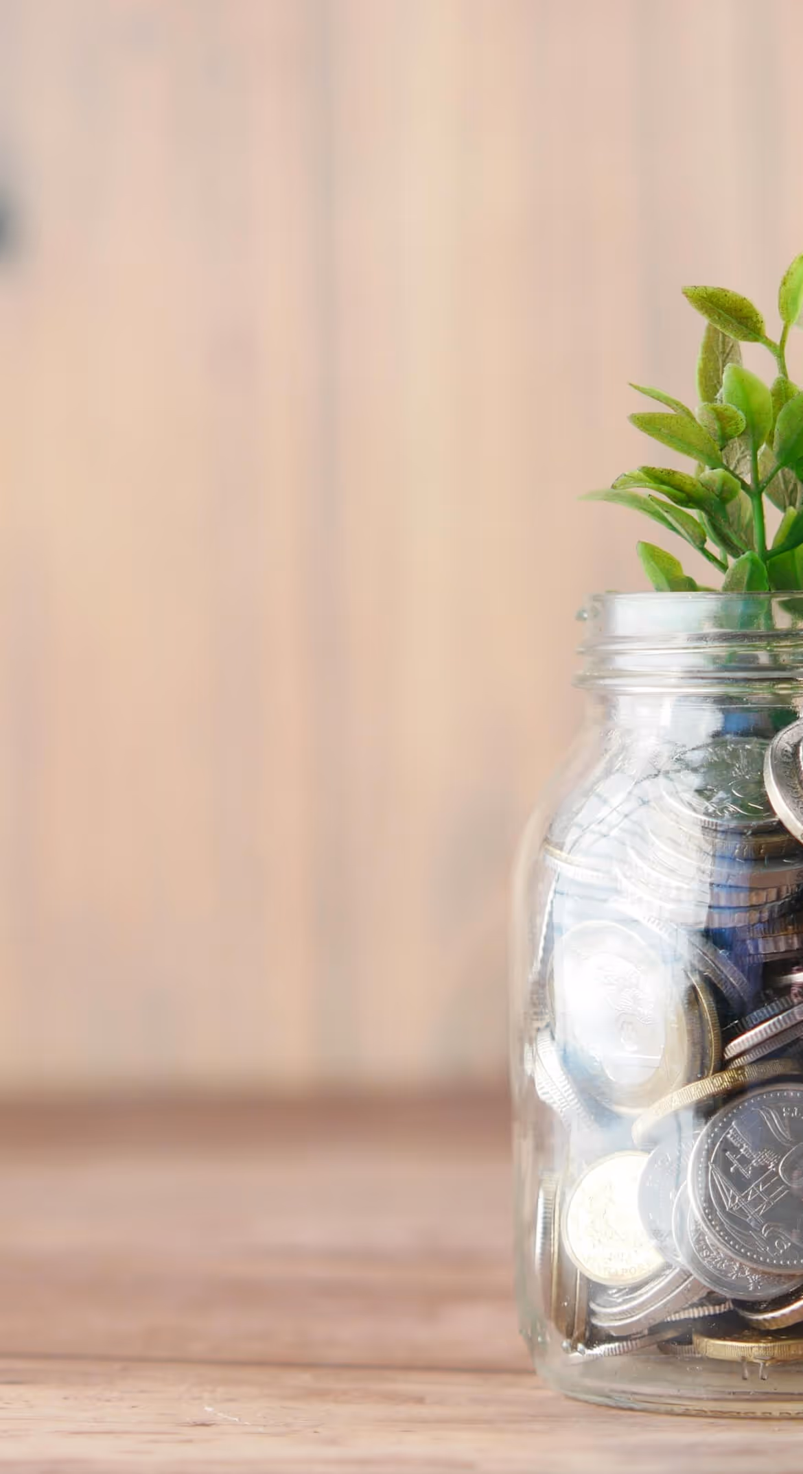 Glass jar filled with coins and a small green plant growing from the top on a wooden surface.