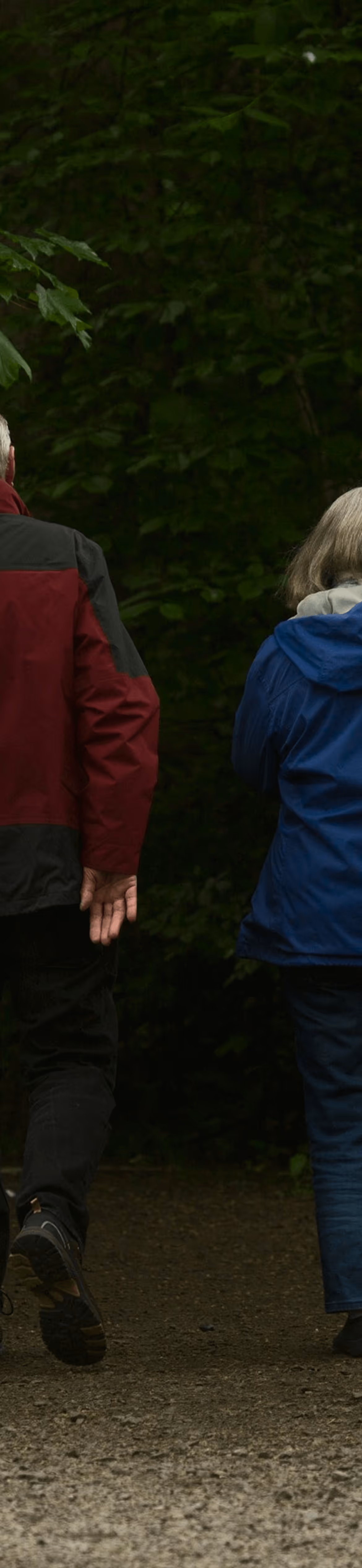 Two elderly people walking away on a forest trail, wearing jackets and surrounded by dense green foliage.