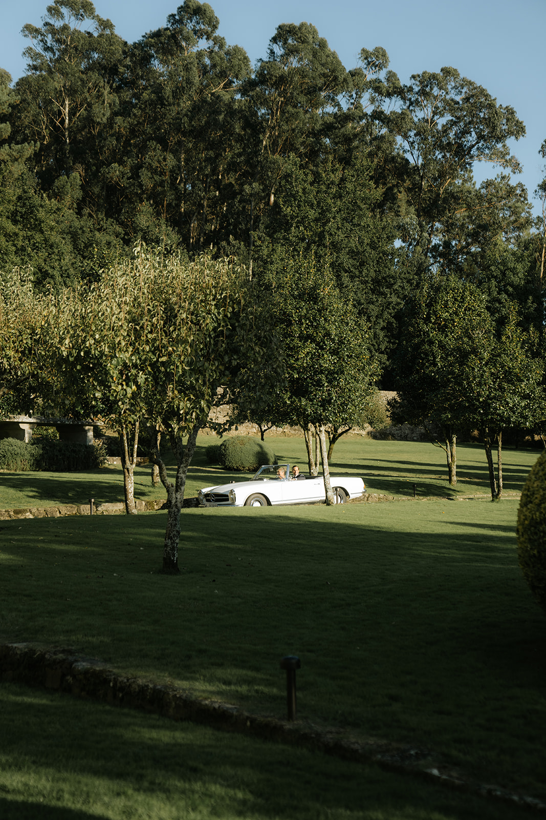 Bride and groom holding hands during wedding ceremony, bride wearing lace dress and groom in dark suit.