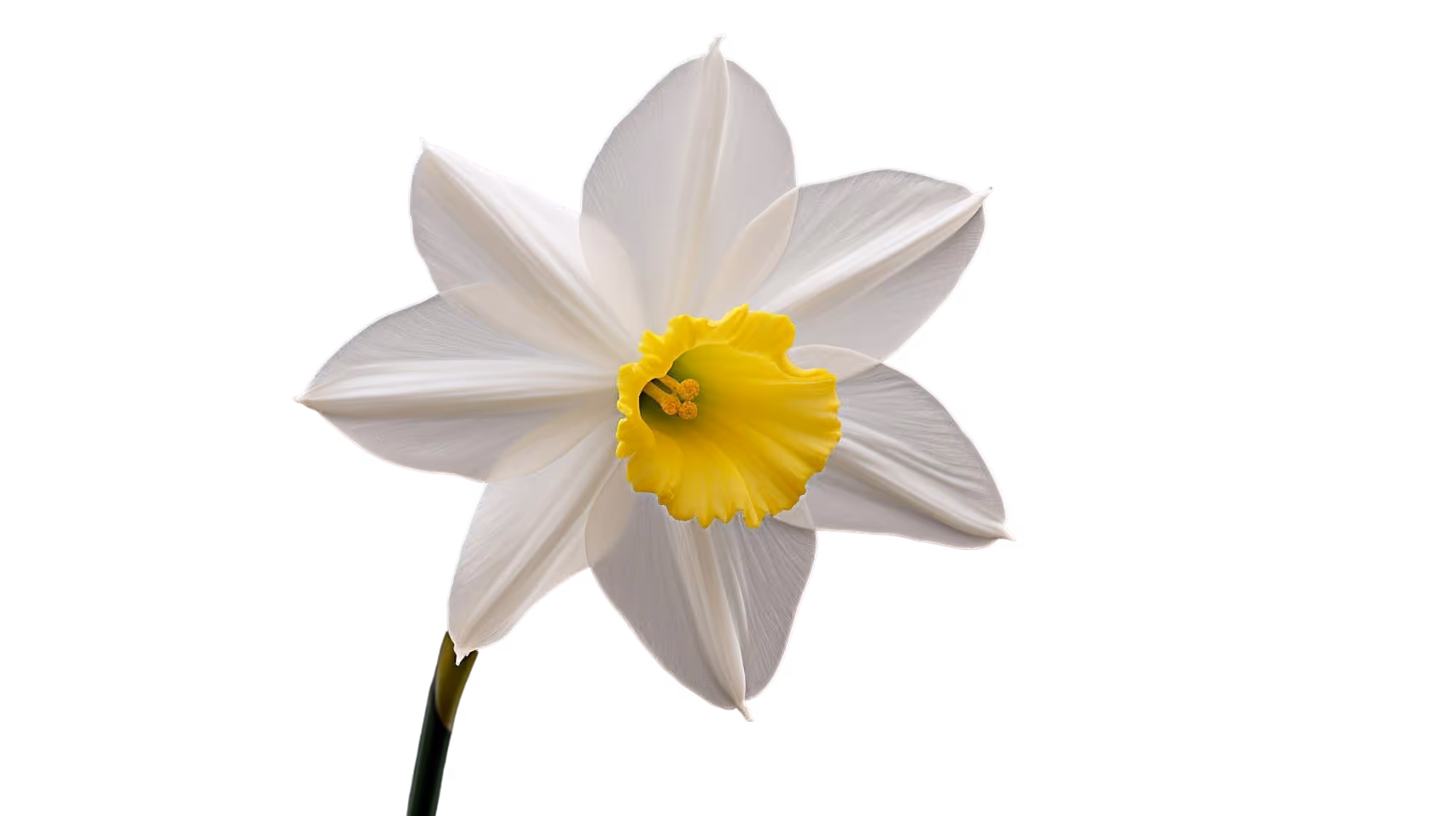 Tall ornate minaret tower against a clear blue sky, surrounded by peach-colored walls.