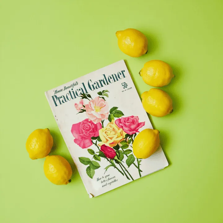 magazine with lemons laid around it