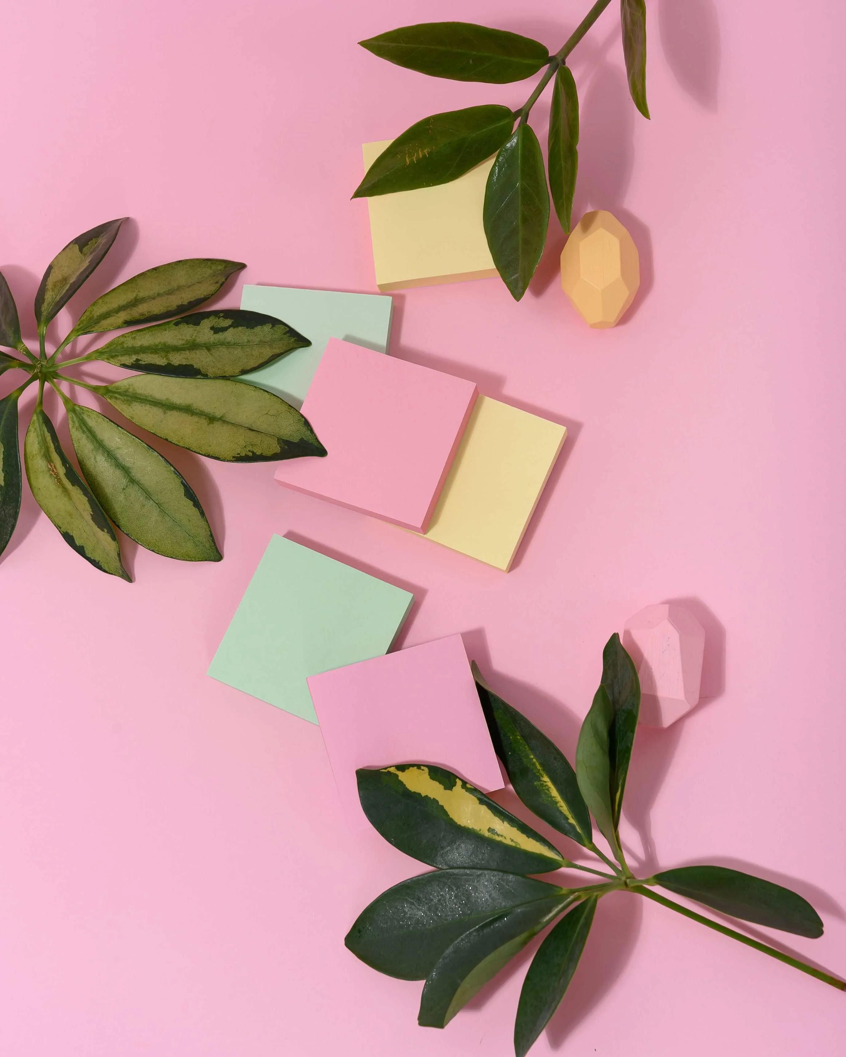 Green variegated leaves and pastel sticky notes arranged on a pink background.