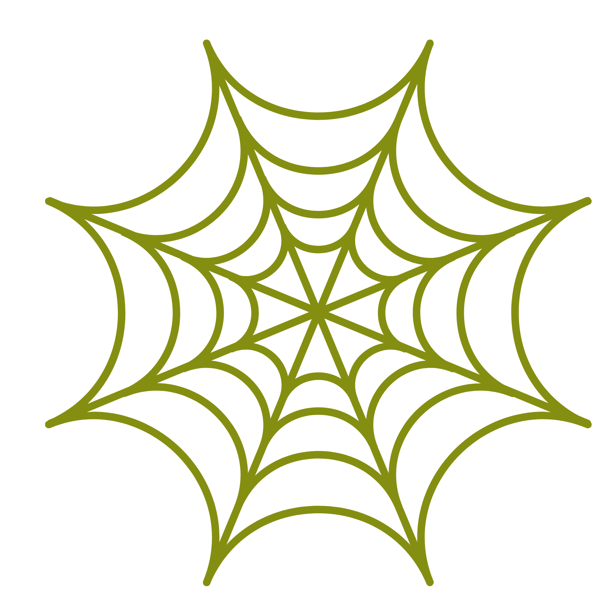 Green spider web illustration with radial and circular lines on a black background.