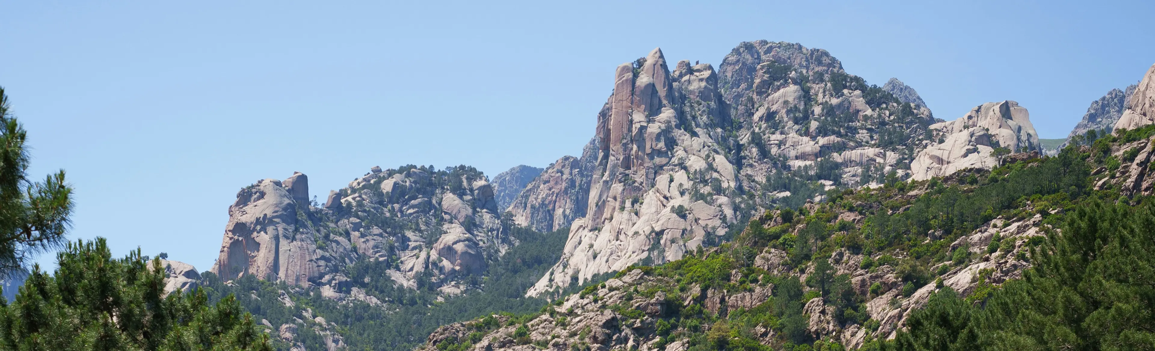 Asphaltstraße zwischen den bewaldeten italienischen Bergen.