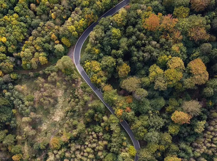 Eine kurvige Straße führt durch einen dichten grünen Wald.