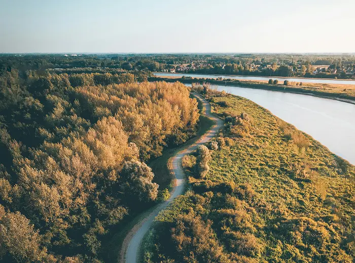 Eine Asphaltstraße führt durch einen Wald am Flussufer.