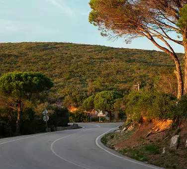 Eine Asphaltstraße schlängelt sich durch bewaldete Hügel bei sonnigem Wetter.