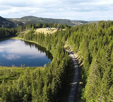 Eine von Wald umgebene Asphaltstraße verläuft an einem See entlang