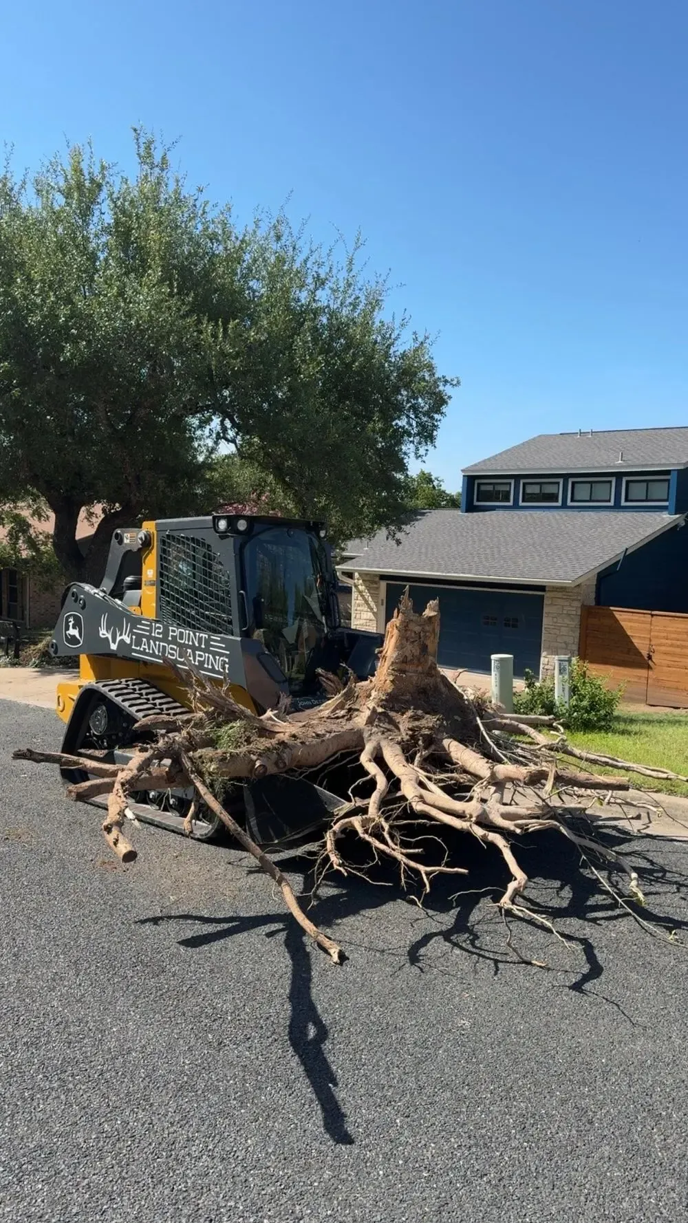 Landscape removal and site clearing services in Austin, TX