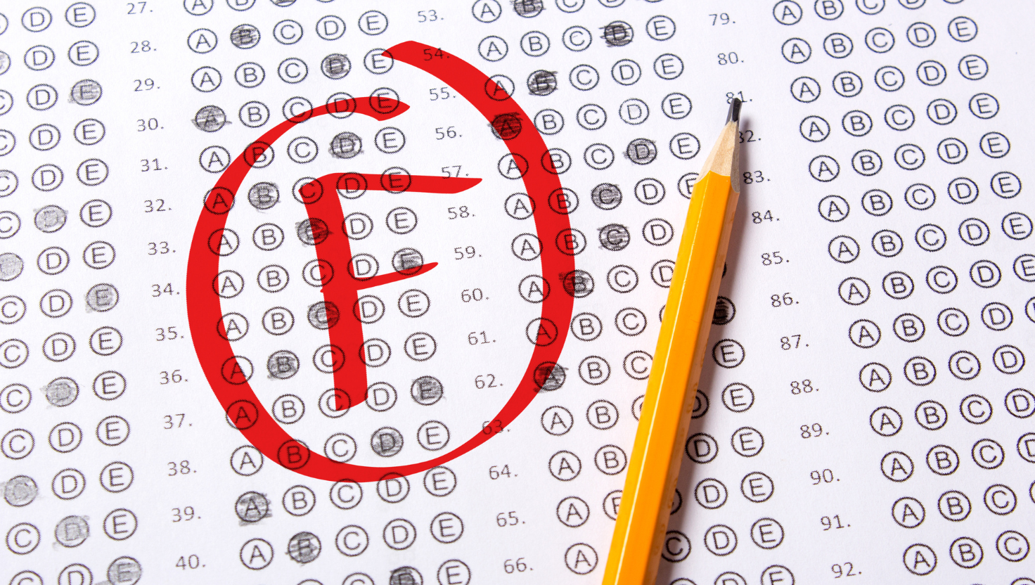 How the Education System Failed Customer Leaders