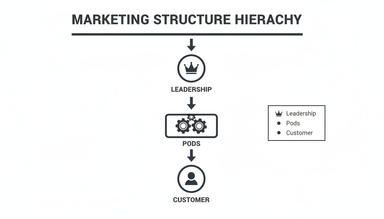 A vertical marketing structure hierarchy flowchart with leadership, pods, and customer levels.