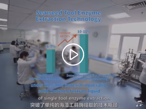 Lab scene showing a blurred scientist working with text overlay and bar chart comparing traditional enzyme technology and seaweed tool enzyme extraction technology.