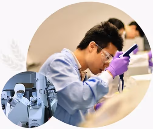 Scientist wearing safety glasses and purple gloves using a pipette in a lab, with a smaller inset image of a researcher in full protective gear operating a microscope.
