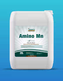 White 20L container of Seawin Amino Mn liquid fertilizer on a blue gradient background.