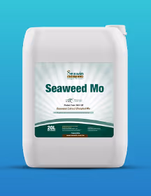 White 20L container of Seawin Seaweed Mo liquid fertilizer with teal and white label.