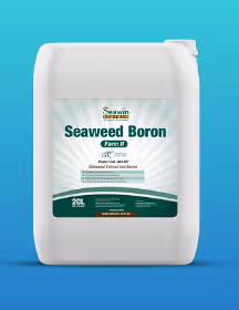White 20L container of Seawin Seaweed Boron liquid fertilizer on a blue gradient background.