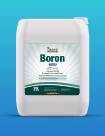 White 20L container of Serwin Boron liquid fertiliser with green and white label on blue gradient background.