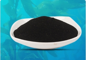 White bowl filled with fine black powder on a blue surface background.