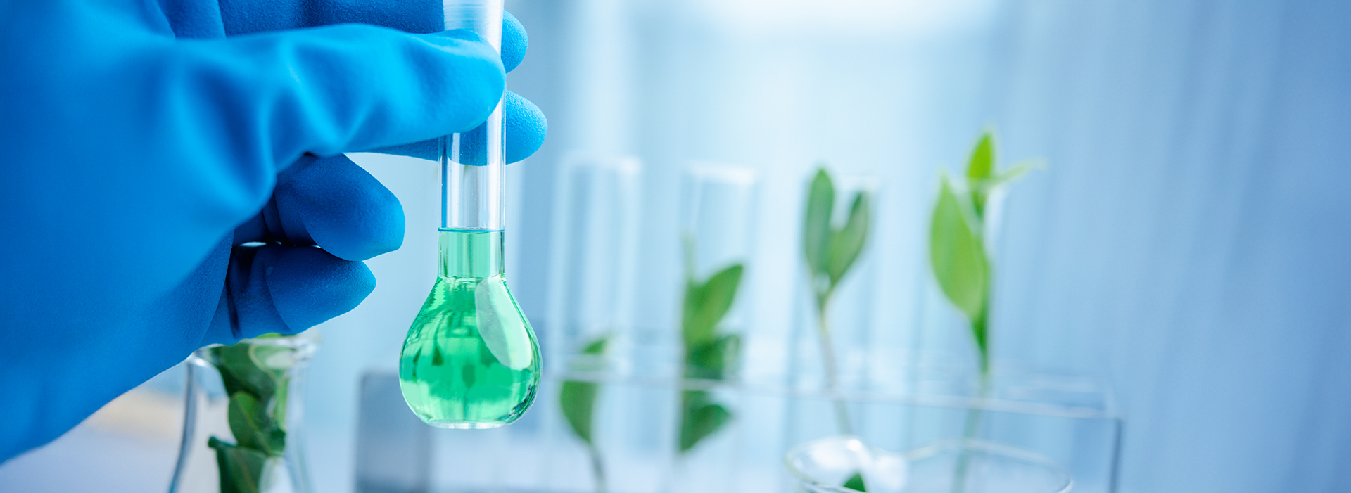 Gloved hand holding a test tube with green liquid, with test tubes containing green plant leaves in the background.