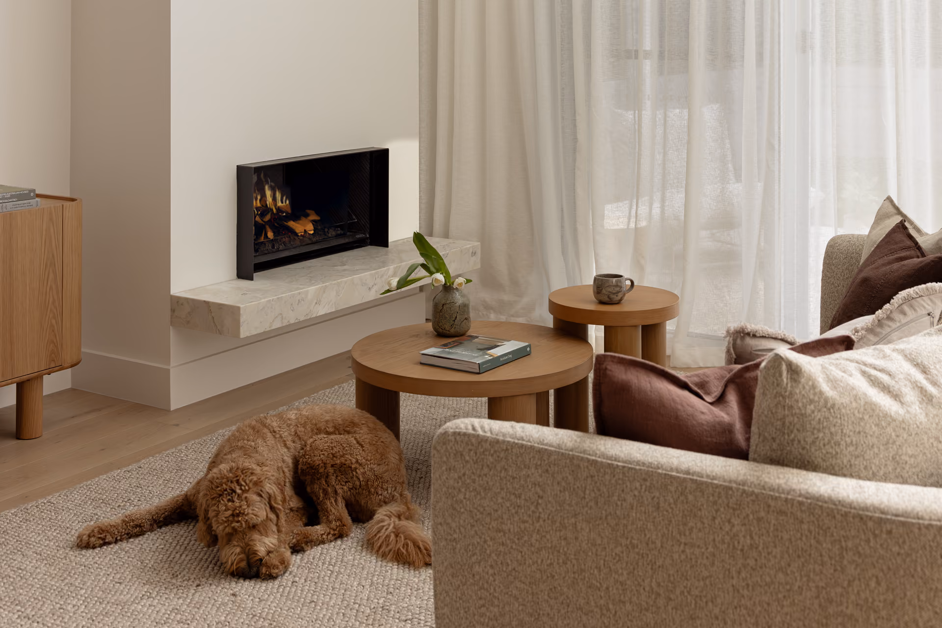 Escea Electric Fireplaces