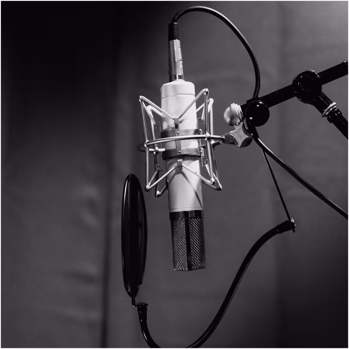 Microphone à condensateur suspendu avec un filtre anti-pop dans un studio d'enregistrement.