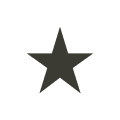 Solid black five-pointed star icon.