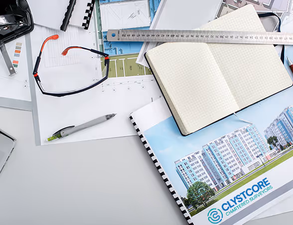 Independent Monitoring Surveying Development & Funding Oversight
