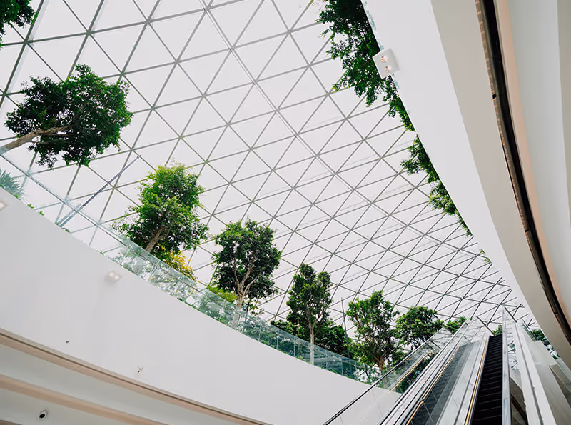 Independent Monitoring Surveying – Development & Funding Oversight