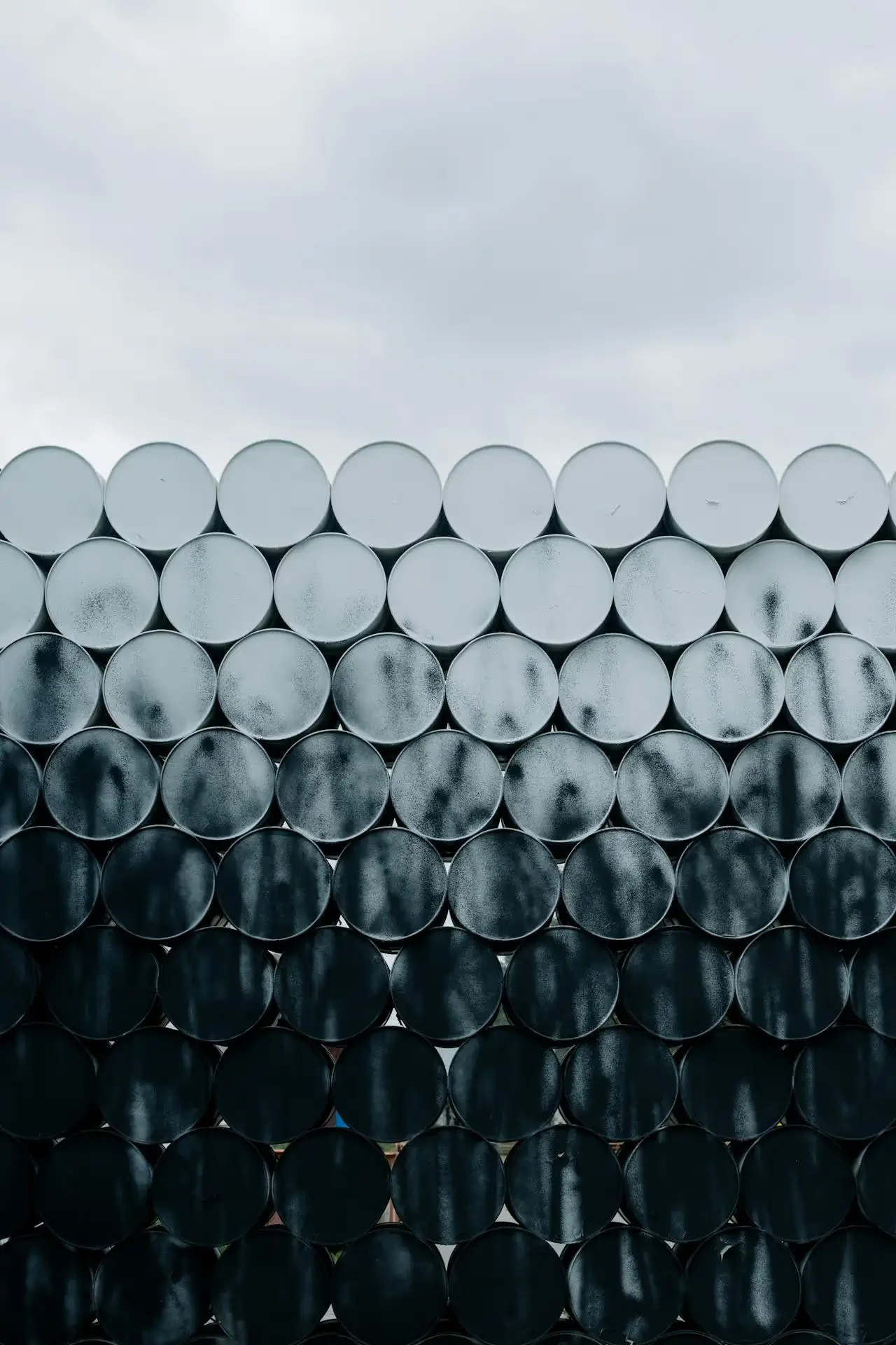 Background dots in black and white.