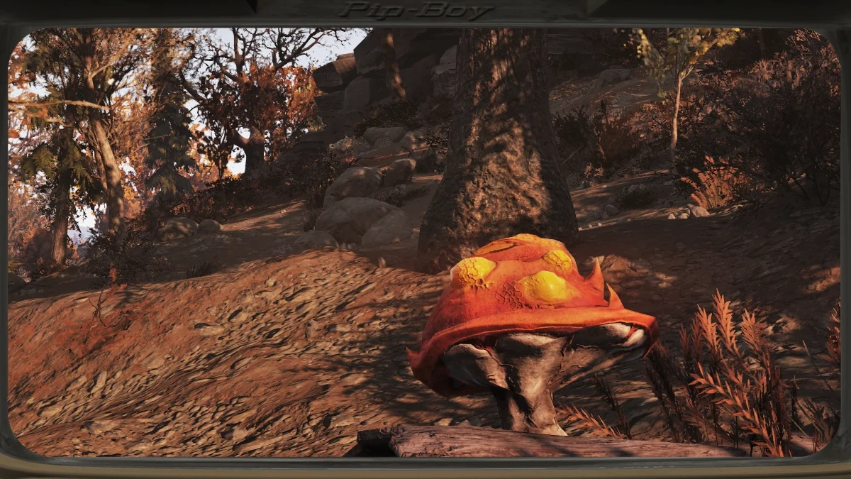 Una seta roja de Fallout 76 creciendo en el suelo de El Bosque, en Appalachia