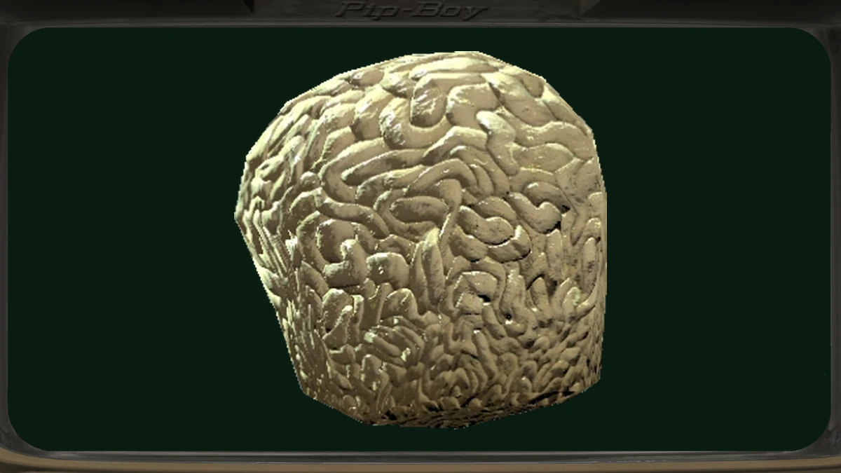 Hongo cerebral de Fallout 76, un hongo pálido con la superficie plegada como un cerebro