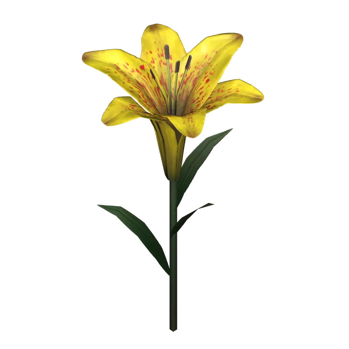 Render de un lirio amarillo de Fallout 76 con hojas largas y finas sobre fondo negro