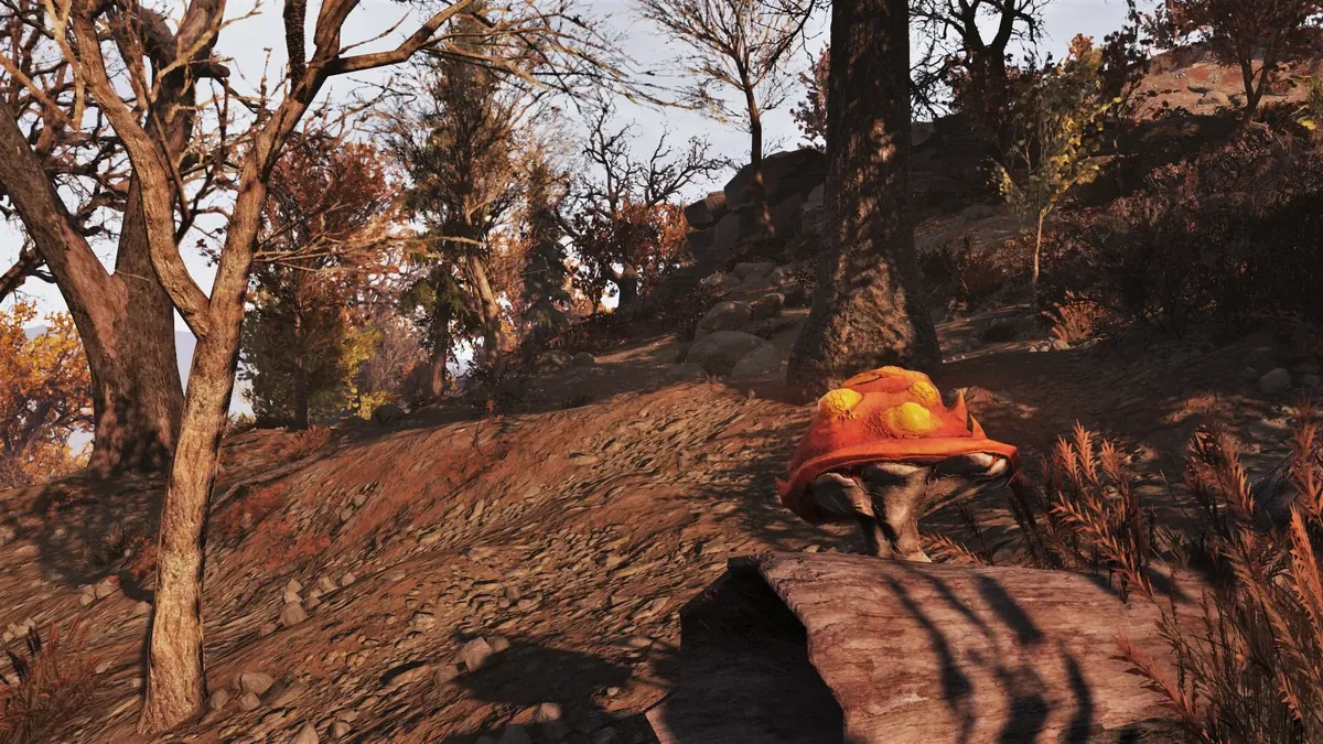 Una seta roja y naranja crece junto a un tronco caído en el bosque otoñal de Fallout 76